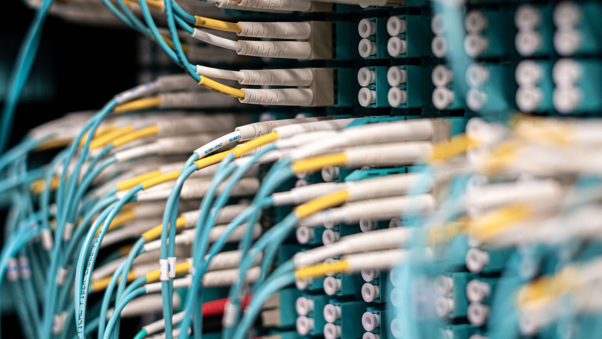 Fiber optic cables plugged into the panel of a network cabinet